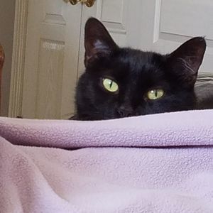 Meet your Posher, Elizabeth